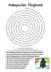 Malayischer Flughund.pdf